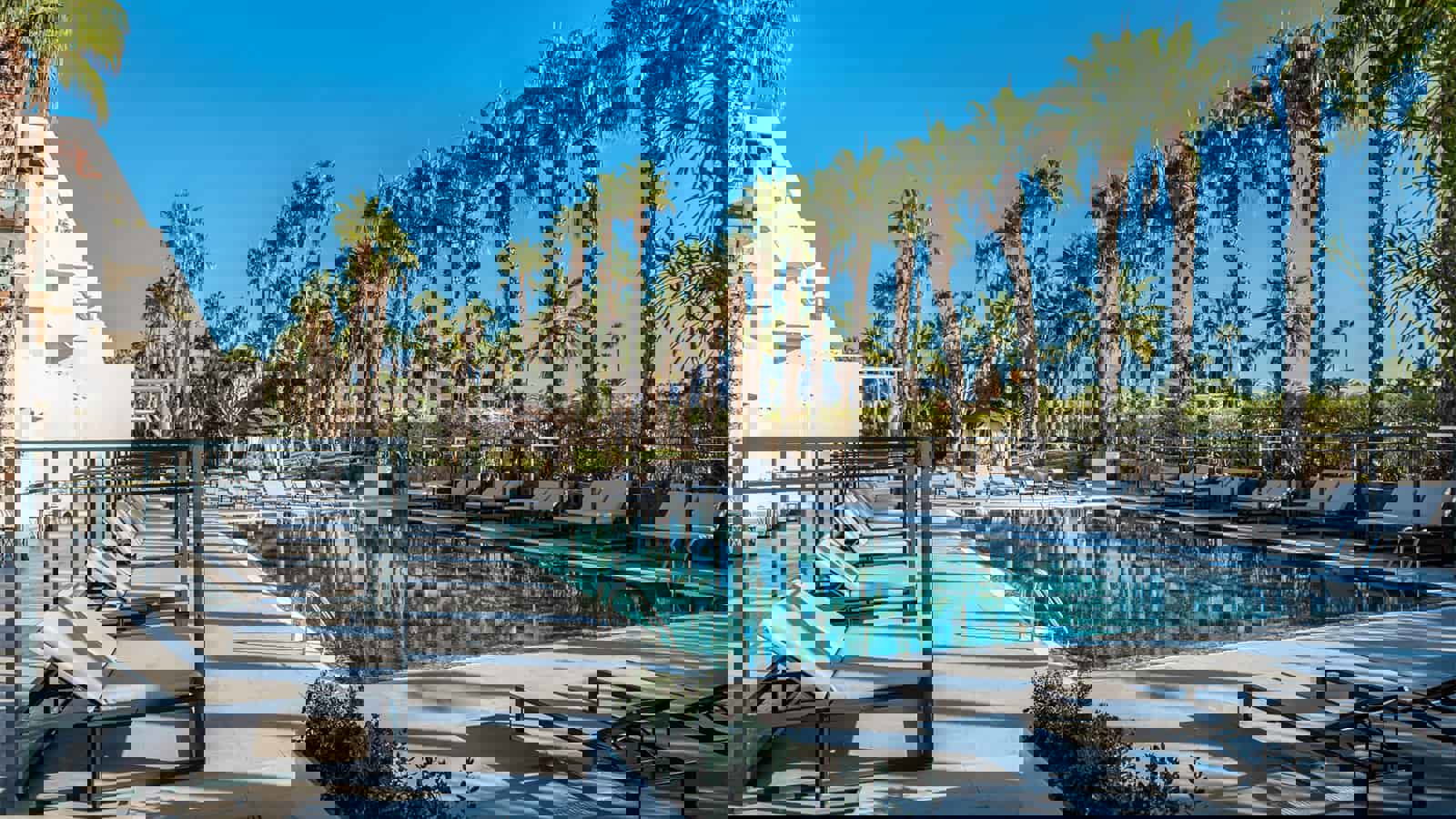 Strakblauwe lucht boven een Adults Only zwembad met grijze Bali-bedden en wuivende palmbomen.